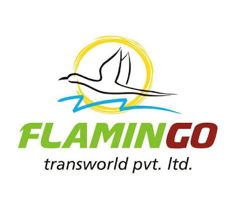 Flamingo logo